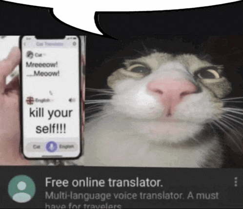 a cat is holding a cell phone that says kill your self on it
