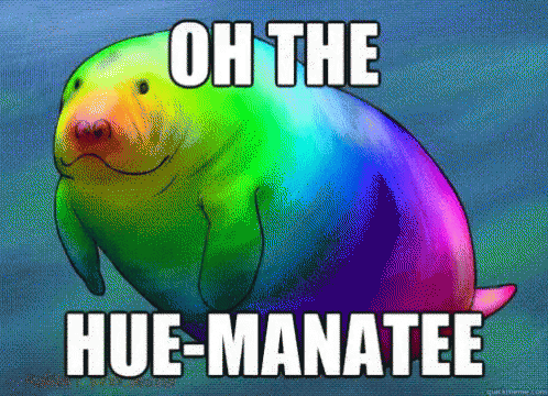 Pun Manatee GIF - Pun Manatee Rainbow GIFs