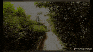 a video of a man walking down a path with the words power director at the top