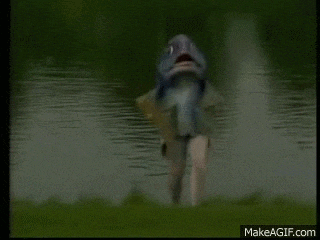 a fish is standing on the shore of a lake holding a fish in its mouth .