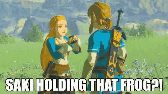 a screenshot of a video game says " saki holding that frog ? "