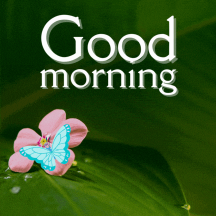 a pink flower with a blue butterfly sits on a green leaf with the words good morning above it