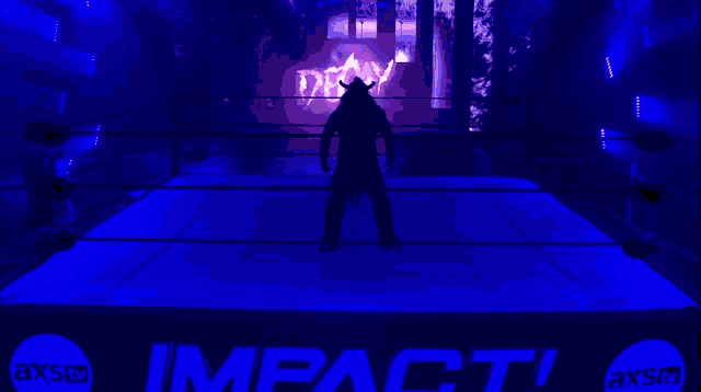 a silhouette of a wrestler in a wrestling ring with the word deay behind him