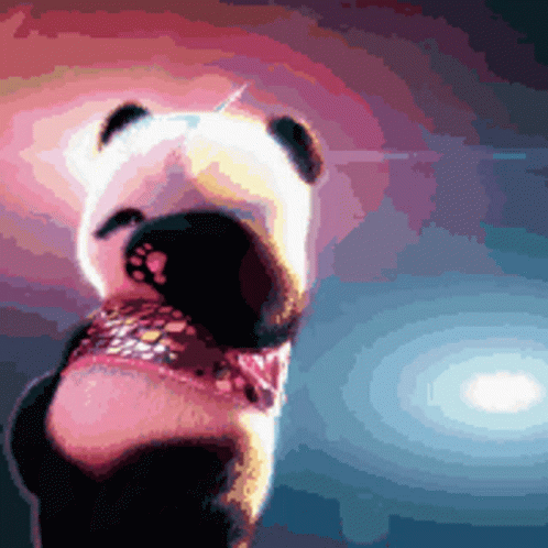 Gấu Trúc Panda GIF - Gấu Trúc Panda Dancing GIFs