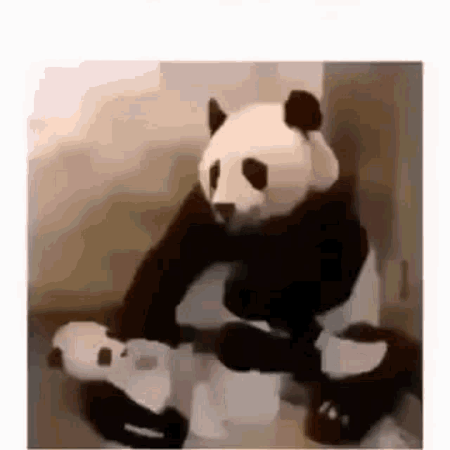 Panda Surprised GIF - Panda Surprised Costume GIFs