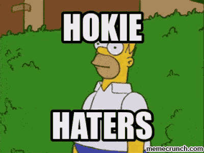 a cartoon of homer simpson with the words hokie haters