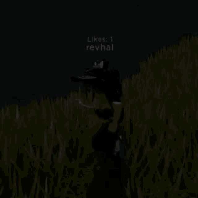 a girl in a black hat is standing in a field of tall grass at night .