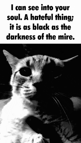 a black and white photo of a cat with a quote that says " i can see into your soul a hateful thing "