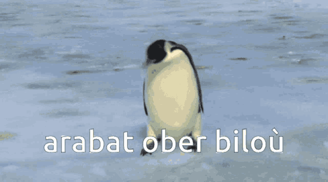 a penguin is walking on the ice with the words arabat ober bilou written below it