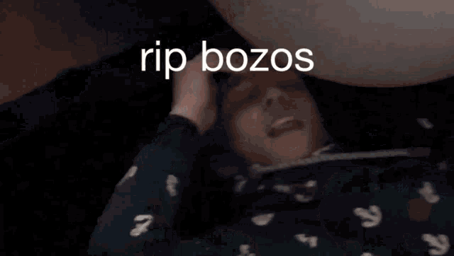 rip bozos is written on a black background