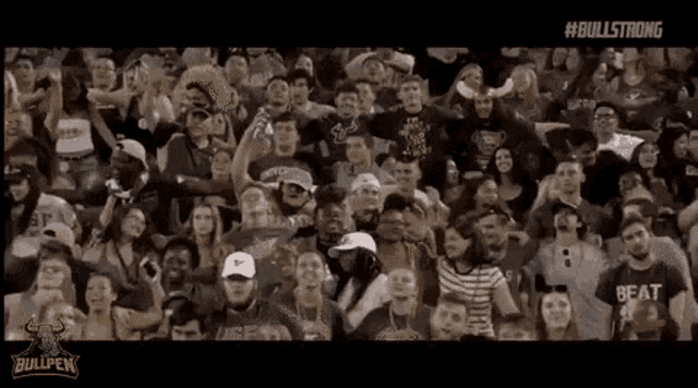 a crowd of people are sitting in a stadium watching a game and cheering .