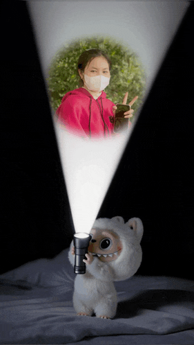 a woman wearing a mask is being projected onto a stuffed animal