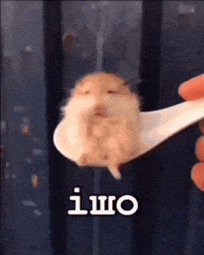 a person is holding a spoon with a hamster on it in their hand .