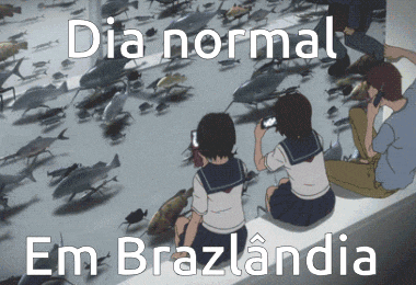 a poster that says dia normal em brazlandia with a girl taking a picture of fish