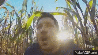 Horrified In A Corn Maze GIF