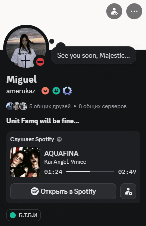 a screenshot of a person 's spotify profile with the words see you soon majestic