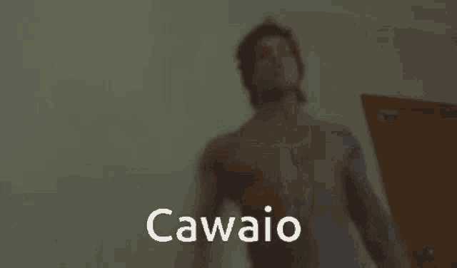 a blurred image of a person with the word cawaio in the corner