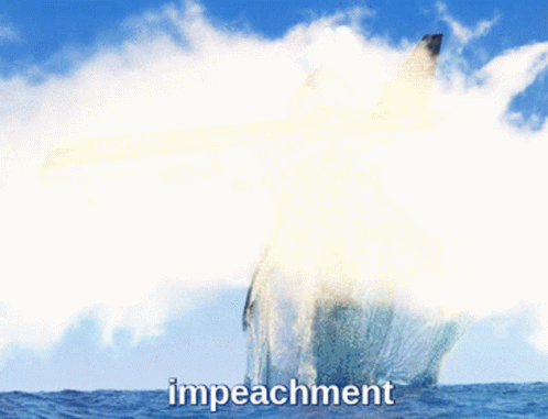 Trump Impeach Trump GIF - Trump Impeach Trump Airplane GIFs