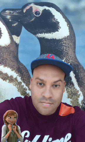a man wearing a hat with the letter a on it stands in front of penguins
