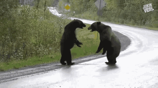 Bears Bears Fighting GIF - Bears Bears Fighting Rawr GIFs