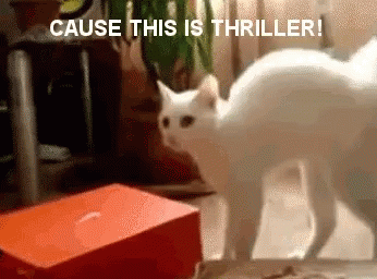 Thriller Cat GIF - Thriller Cat GIFs