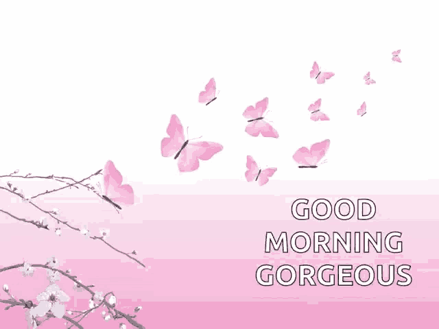 a pink background with butterflies and the words good morning gorgeous on it