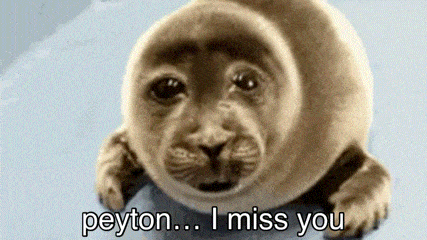 a seal is sitting on top of a piece of ice and says `` peyton ... i miss you '' .
