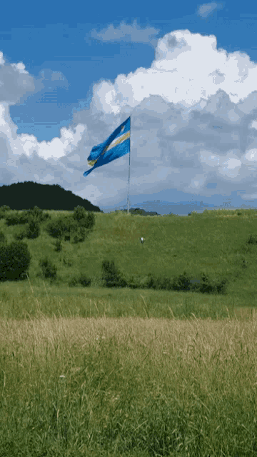 a blue and yellow flag flies over a grassy hillside