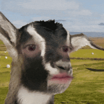 a goat with a red lip is standing in a field