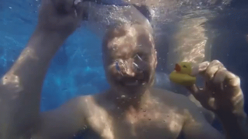 Diving Plunging GIF - Diving Plunging Sinking GIFs