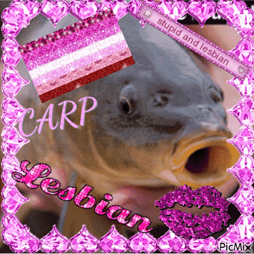 a picture of a carp with the words stupid and lesbian above it