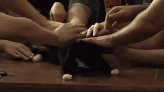 Do Not The Cat GIF - Do Not The Cat GIFs
