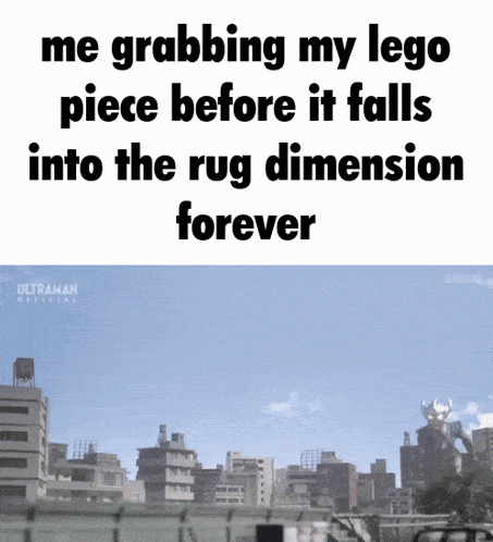 a meme about grabbing a lego piece before it falls into the rug dimension forever
