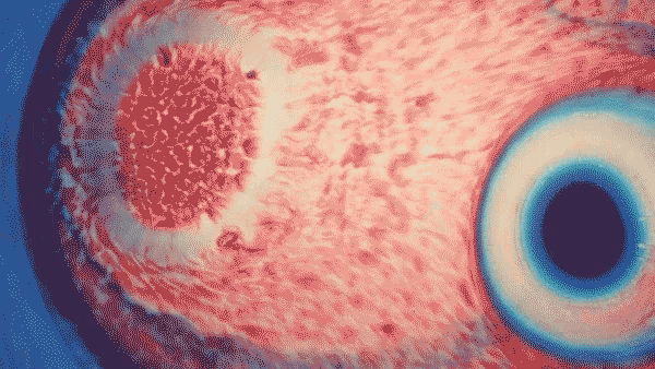 a close up of a red circle with a blue circle in the middle