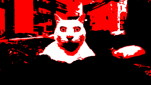 a white cat in a black and red background