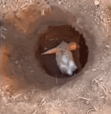 a painting of a bird in a hole