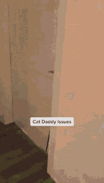 a picture of a cat behind a door with the words cat daddy issues on the bottom