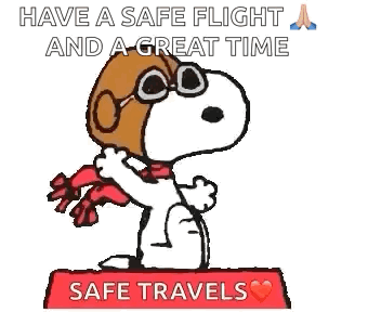 Snoopy Pilot GIF - Snoopy Pilot Plane GIFs