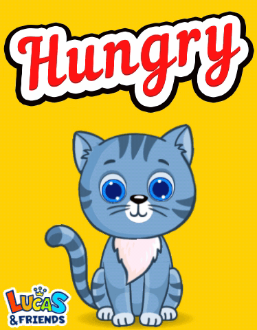 Hungry Hungry Cat GIF - Hungry Hungry Cat I Am Hungry GIFs