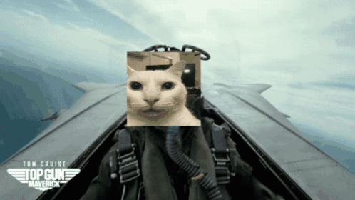 Top Gun Maverick Cat GIF - Top Gun Maverick Cat Topcat GIFs