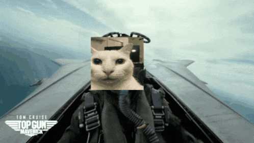 a picture of a cat in a top gun maverick jet