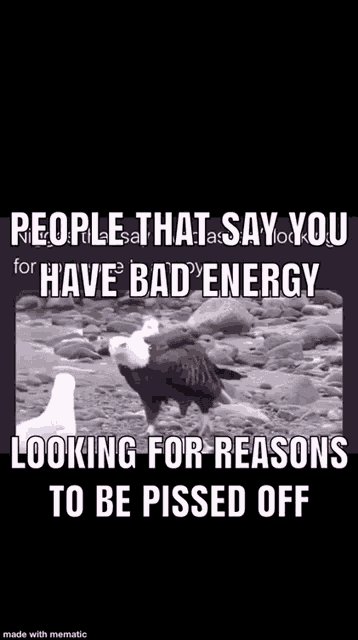 people that say you have bad energy looking for reasons to be pissed off ..