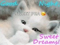a white kitten is laying on a bed with the words `` good night sweet pea sweet dreams '' written on it .