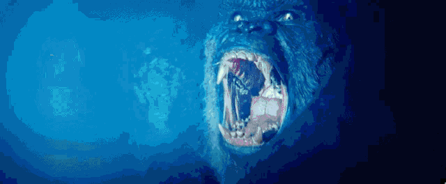 a close up of a gorilla 's mouth with its mouth open