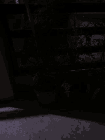 a dark room with a plant in a pot