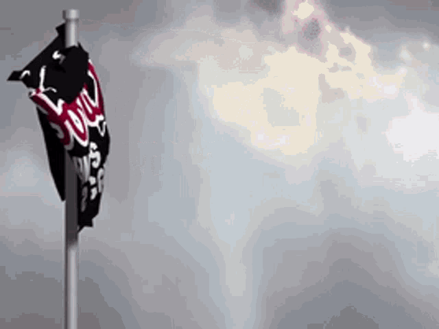 a flag with a skull on it is flying in the wind against a cloudy sky