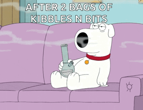 a cartoon of a dog sitting on a couch with the words after 2 bags of kibbles n bits above him