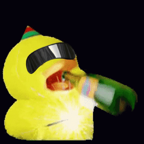 Hoge Party GIF - Hoge Party Duck GIFs