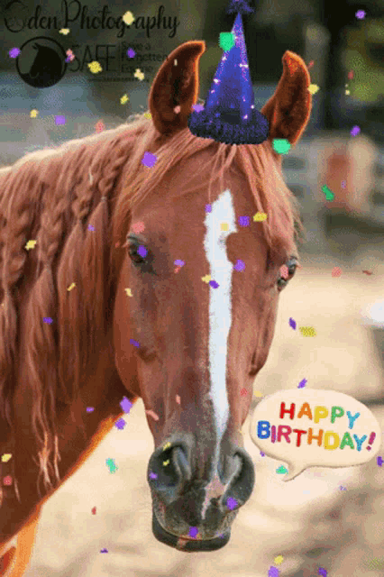 Happy Birthday! #Horse  Happy birthday horse, Horse happy birthday image,  Happy birthday wishes cards