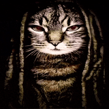 a painting of a cat with dreadlocks on it